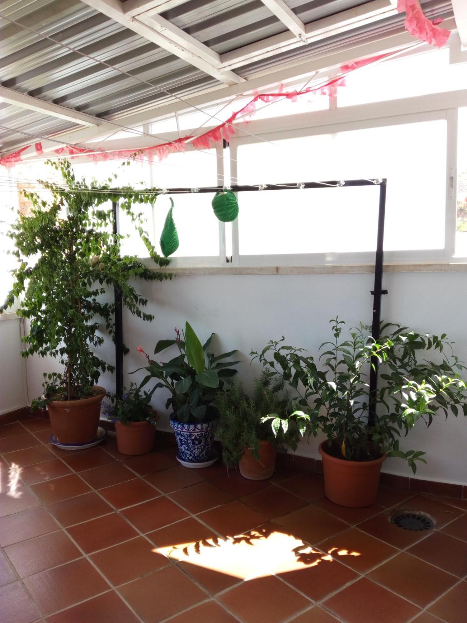 Hostal Rural Montual Los Baños Buitenkant foto